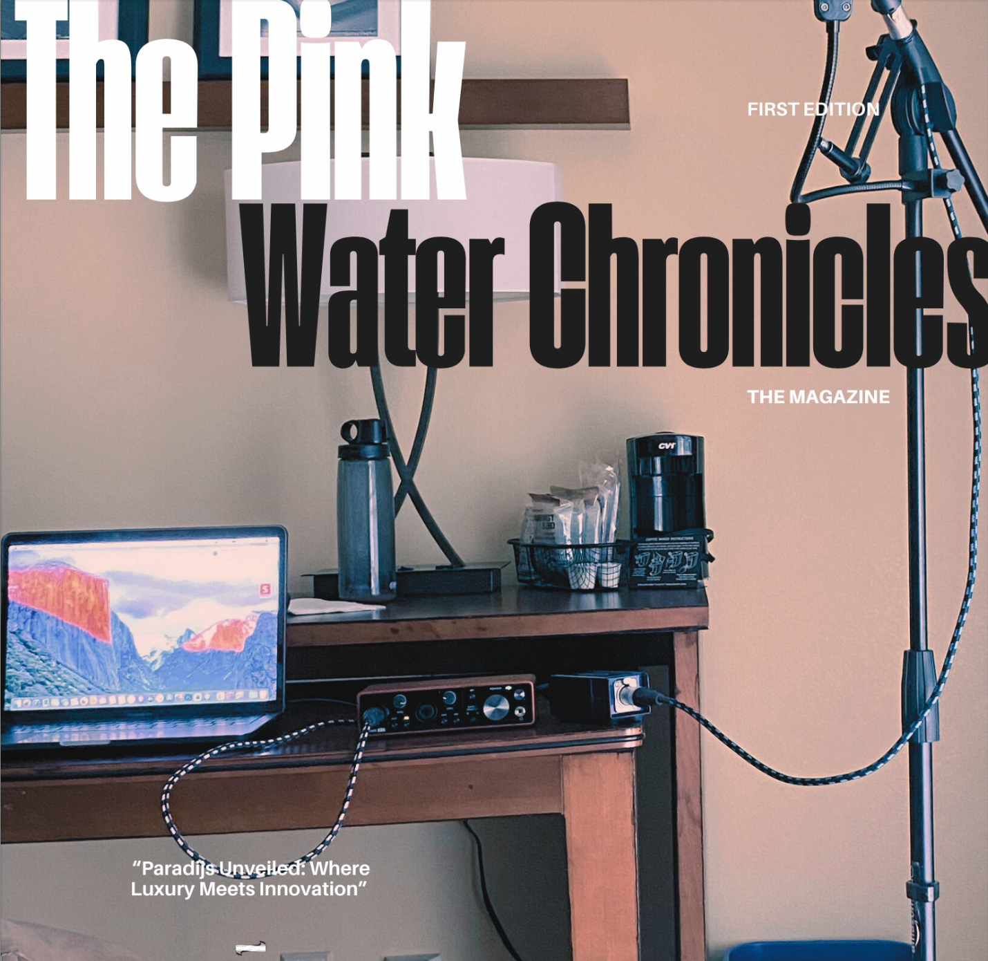 Pinkwater Magazine Vol 1