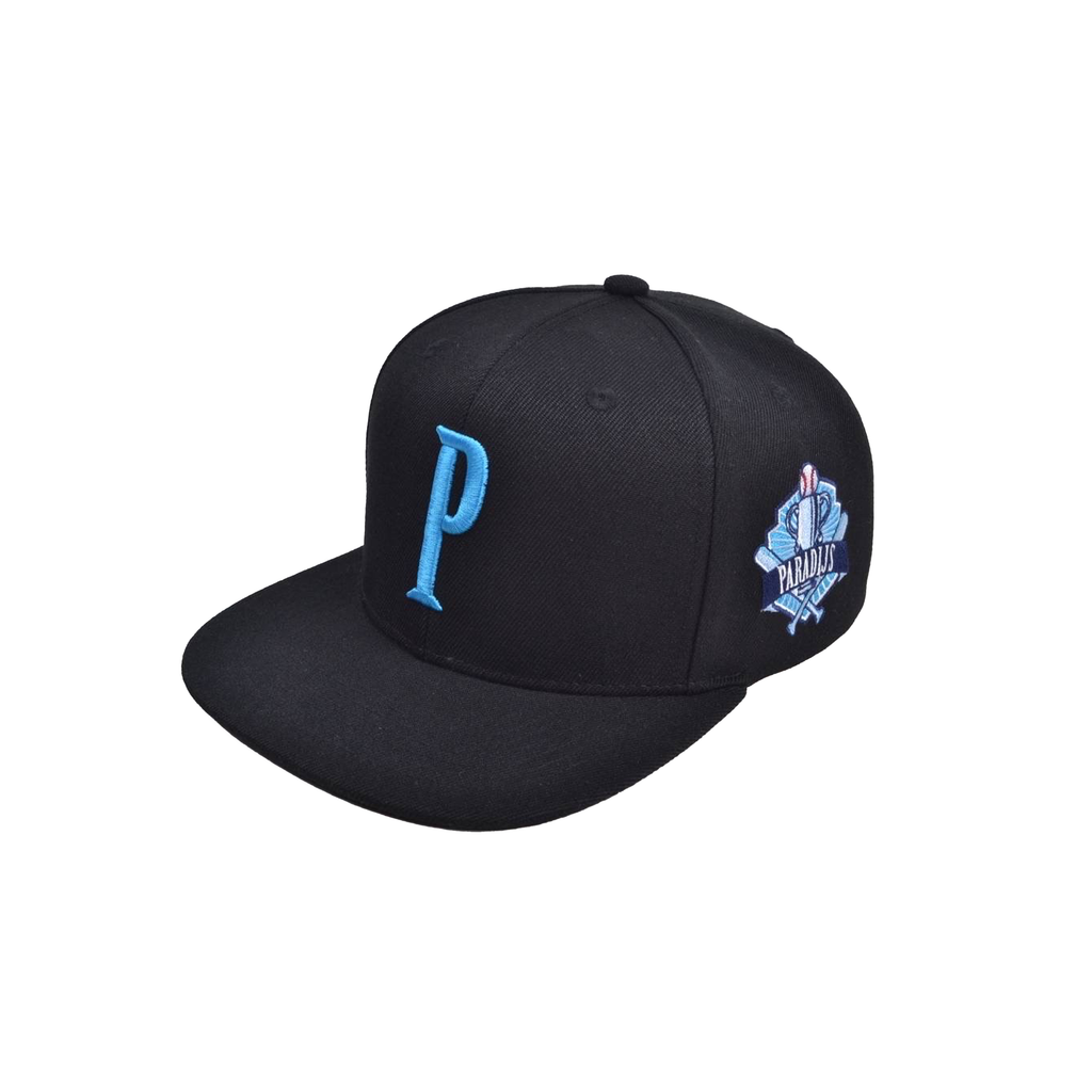 WINNERS SNAPBACK