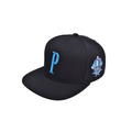 WINNERS SNAPBACK